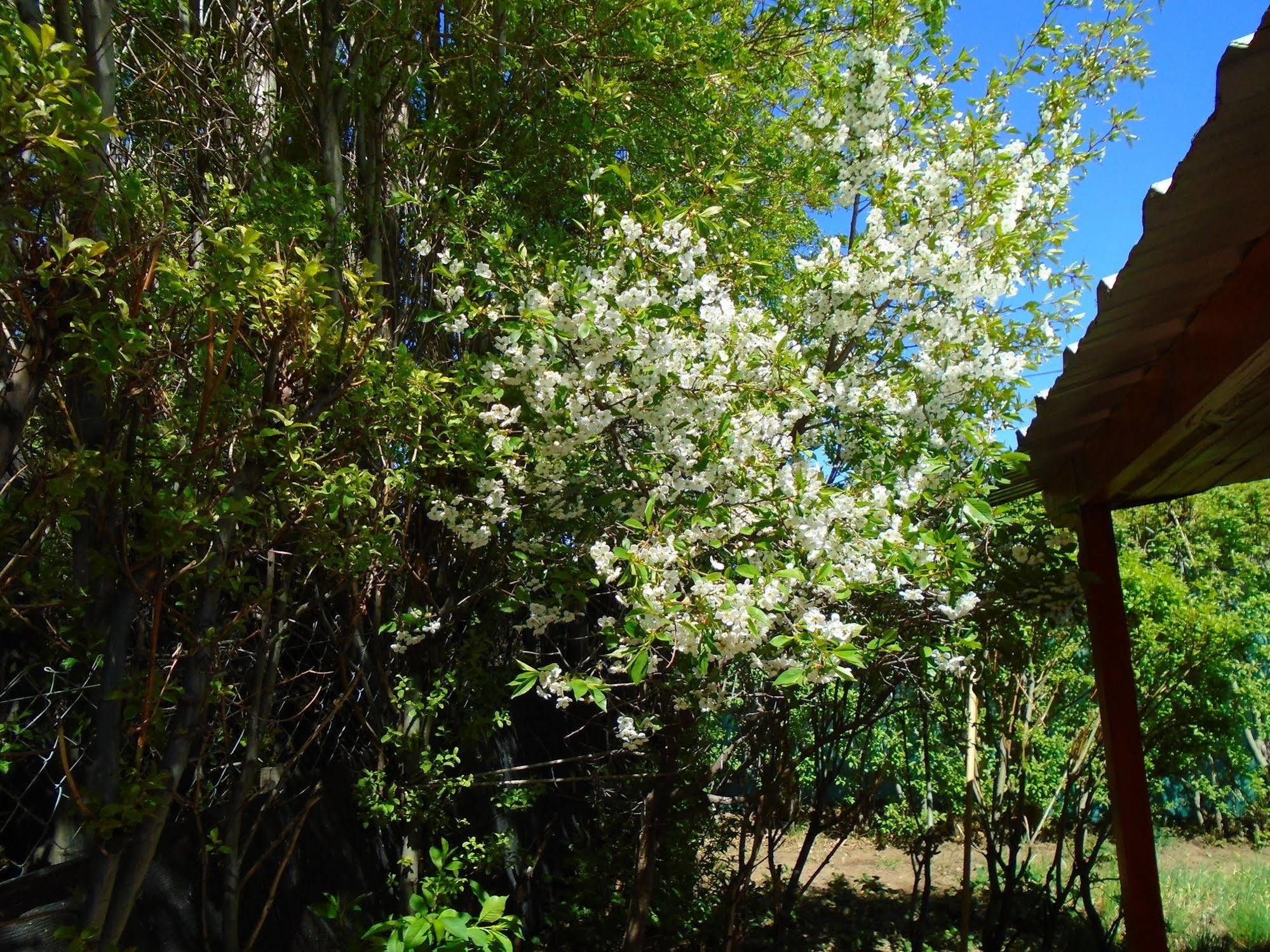Los Fresnos El Calafate Extérieur photo
